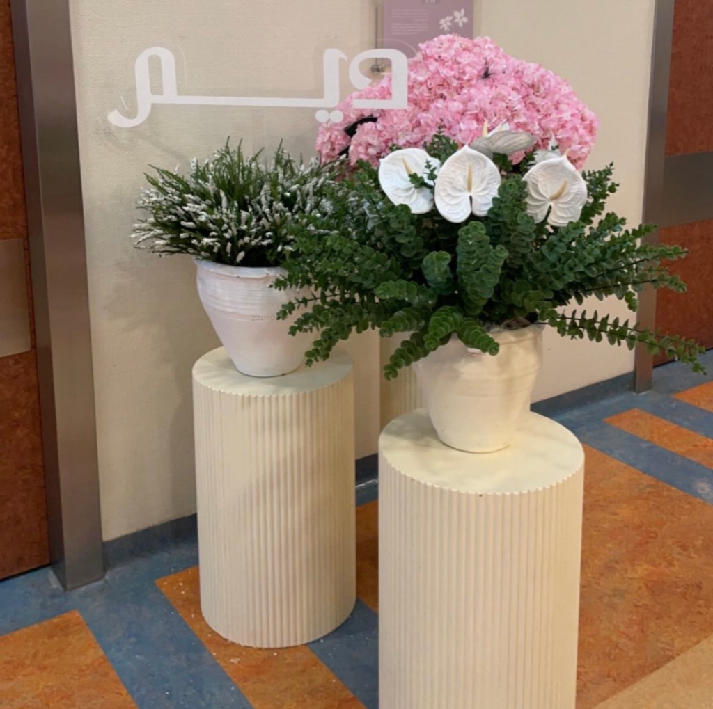 استقبال الديم 🌸