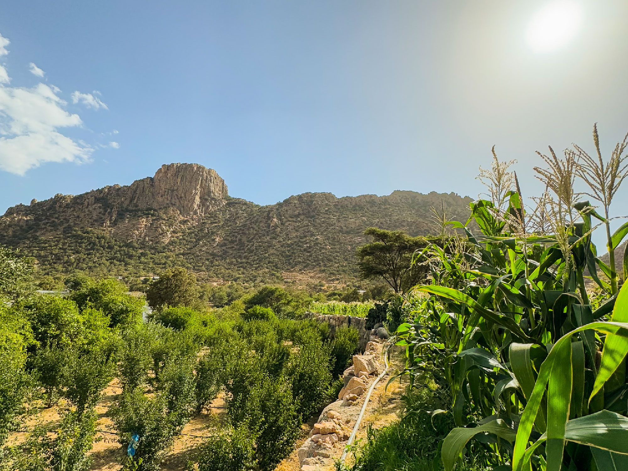 إطلالة جبل قرنيت