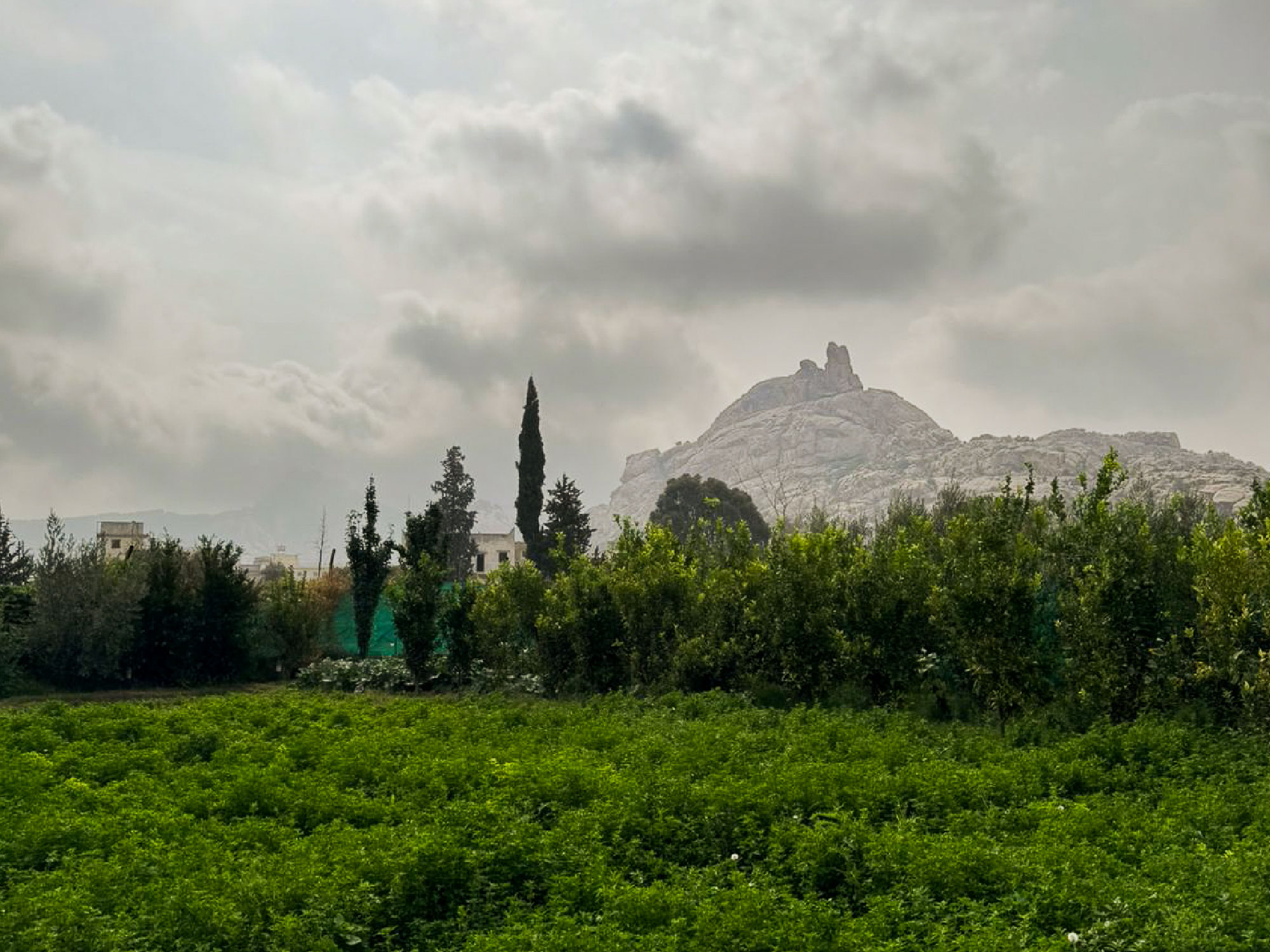 إطلالة جبل عِبدا
