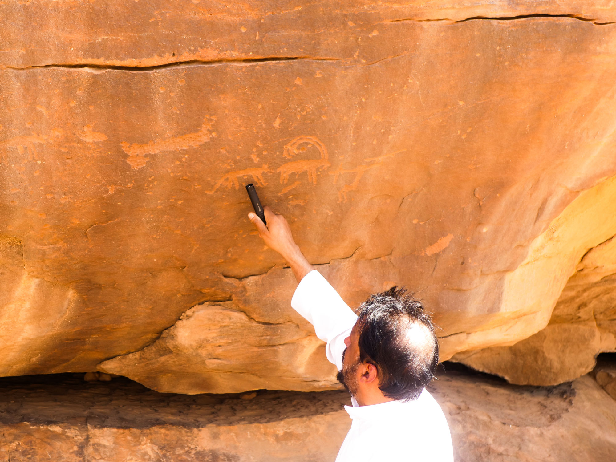 رسم لذئب