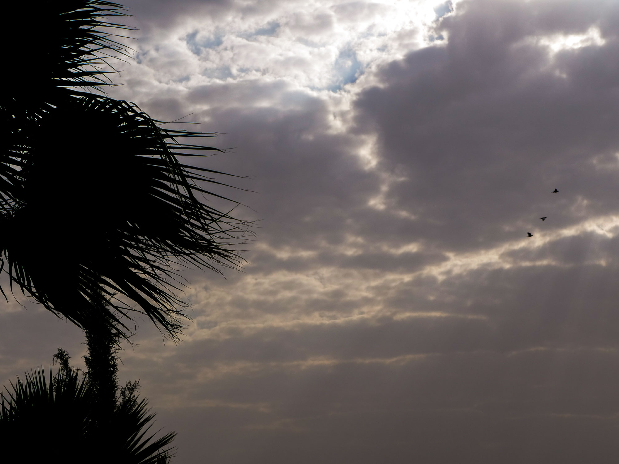 غيوم حائل