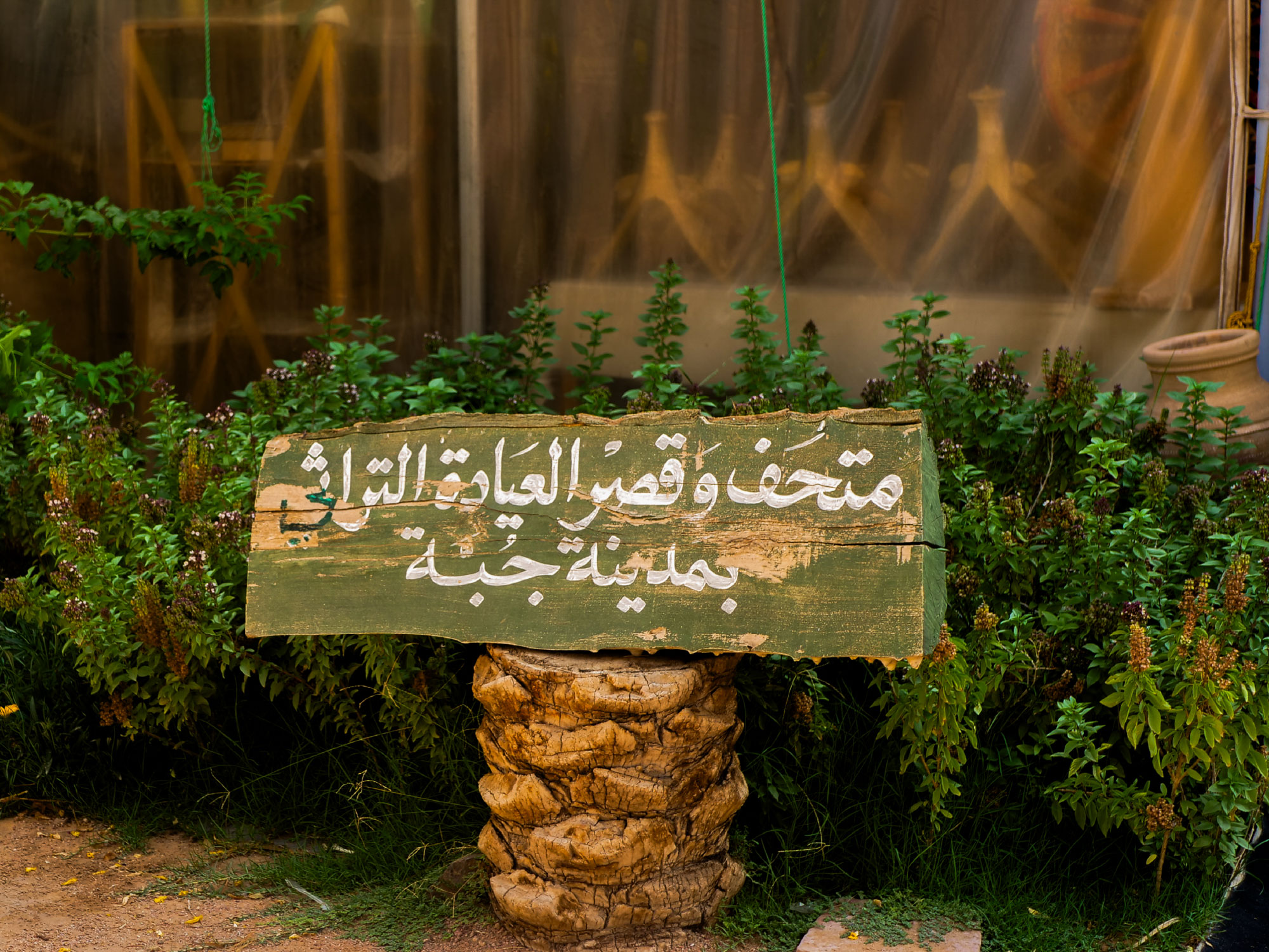 مدخل المتحف