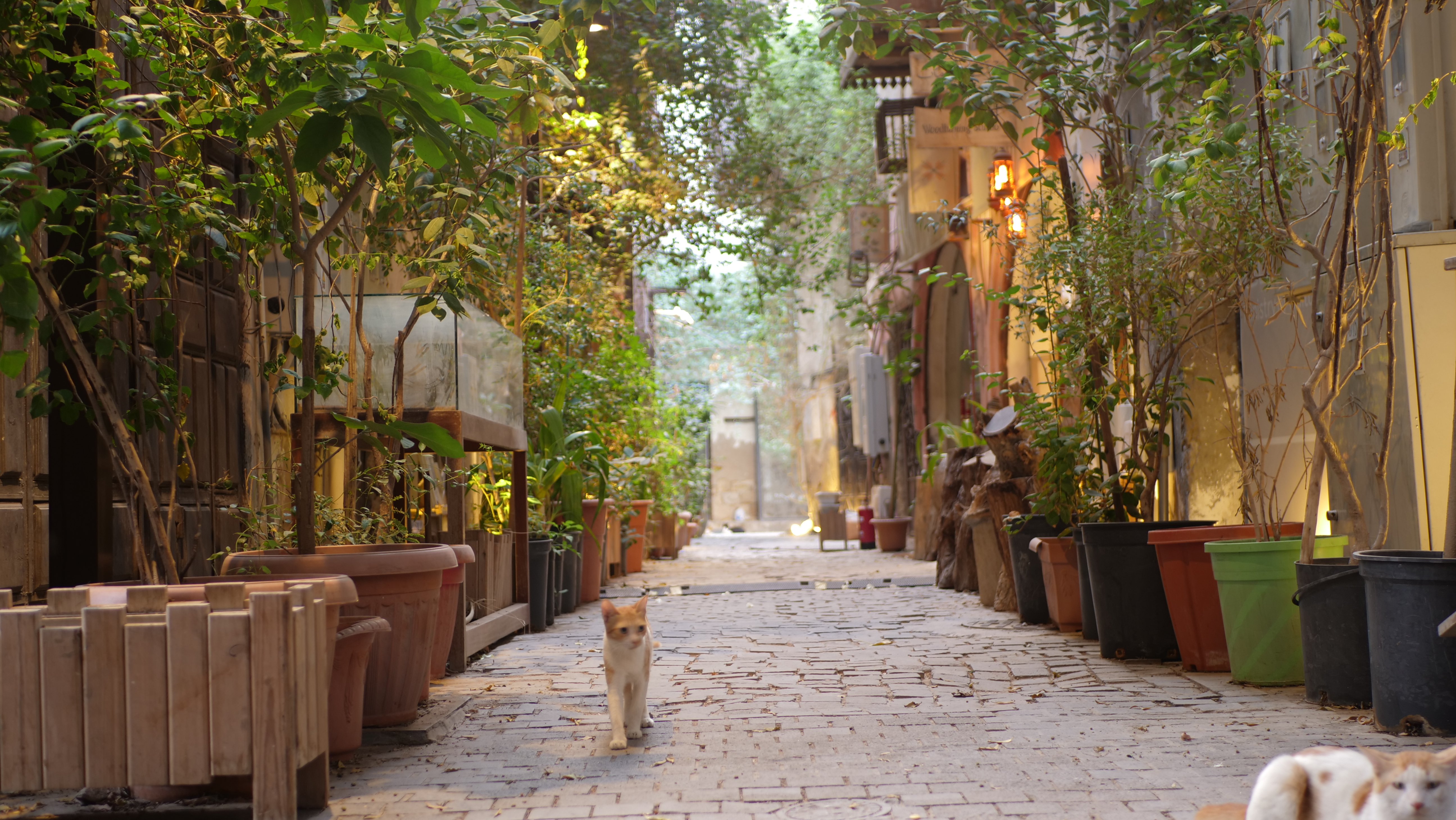 مدخل الزاوية