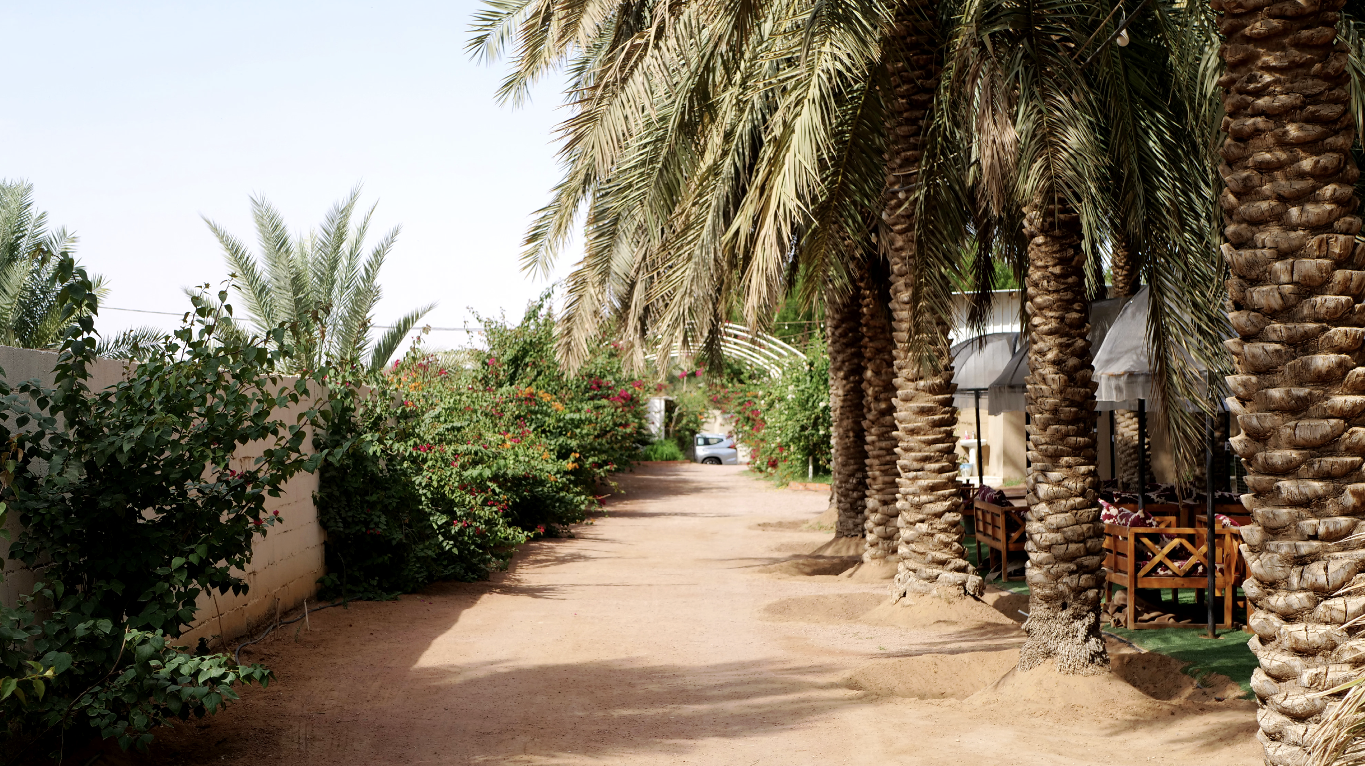 ممر في المزرعة