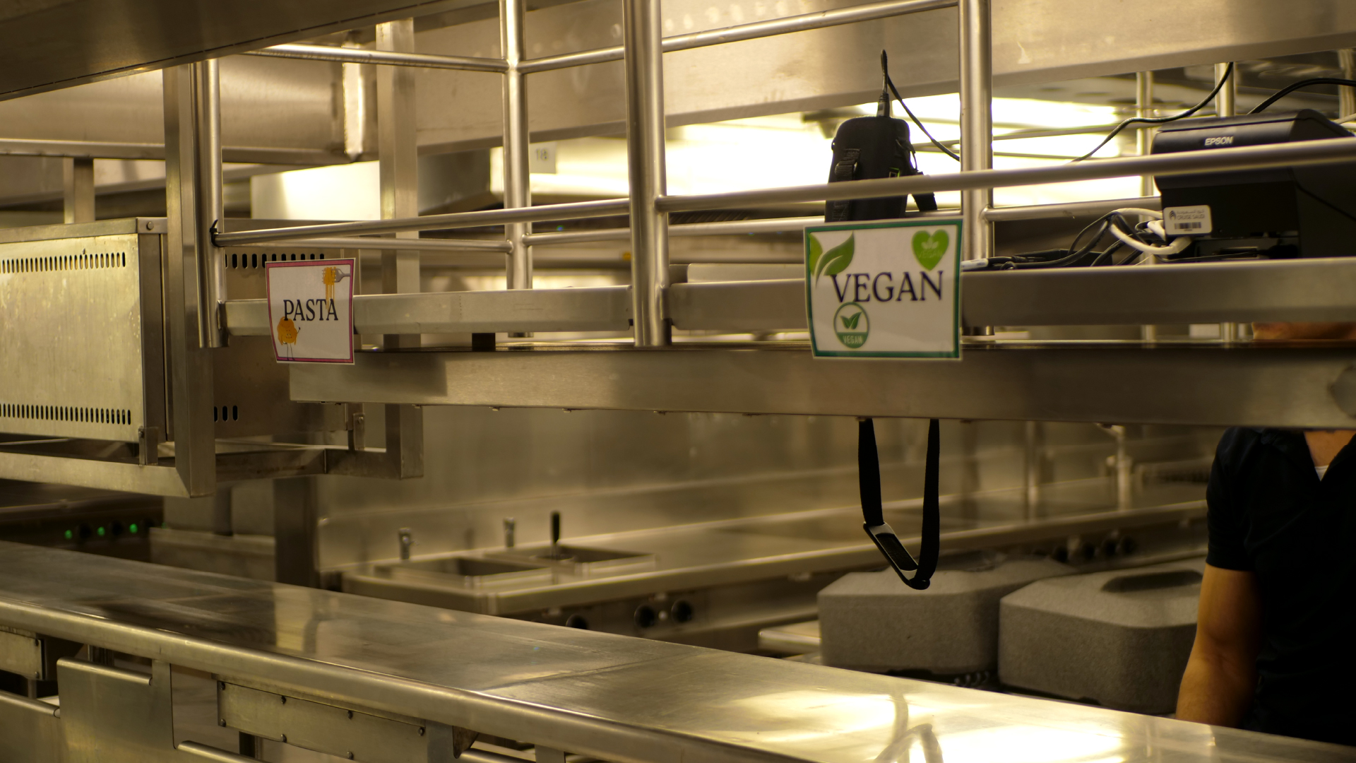 القسم النباتي