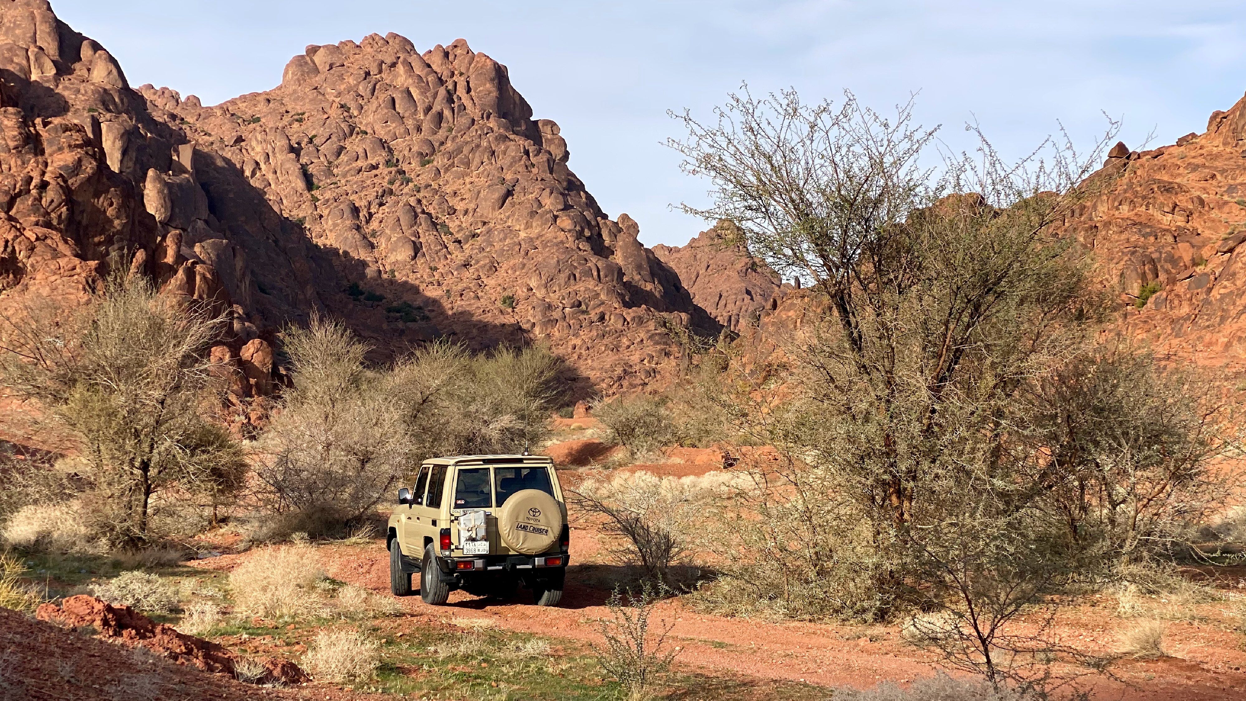 نهاية شعيب توارن