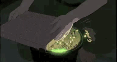 فِلم «Grave of the Fireflies»