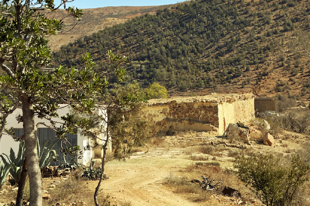 منظر من جبال الريف