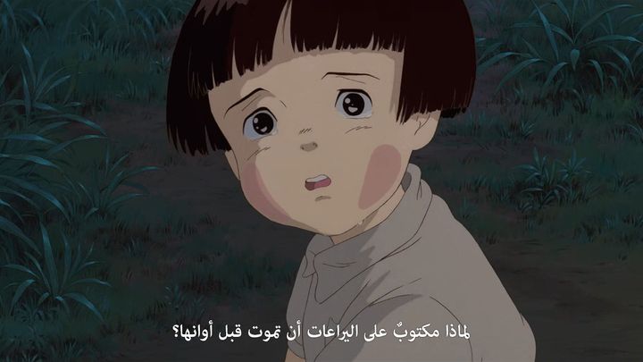 فلم «Grave of the Fireflies»