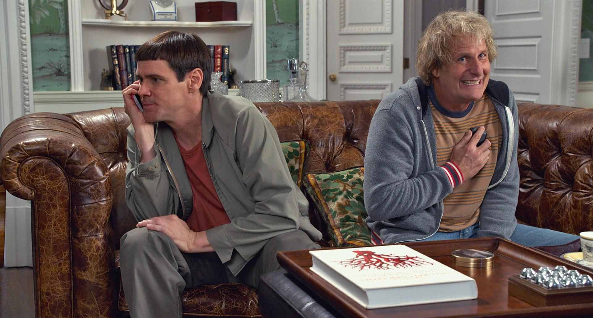 فلم «Dumb and Dumber»