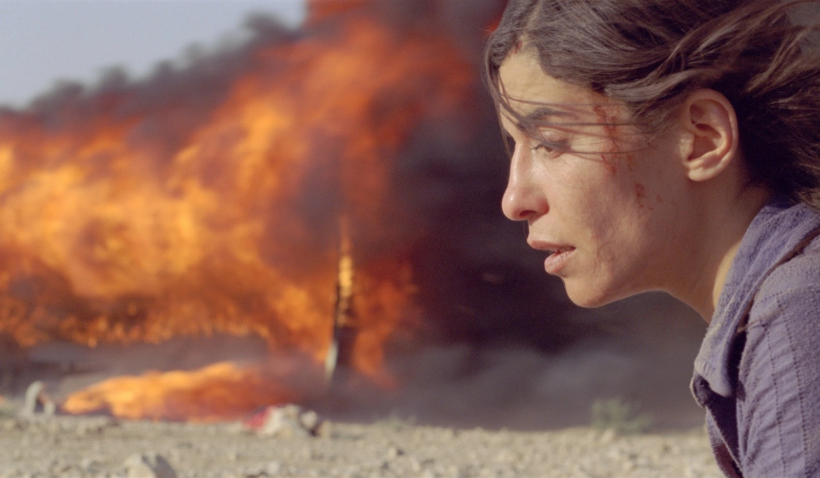 فلم «Incendies»