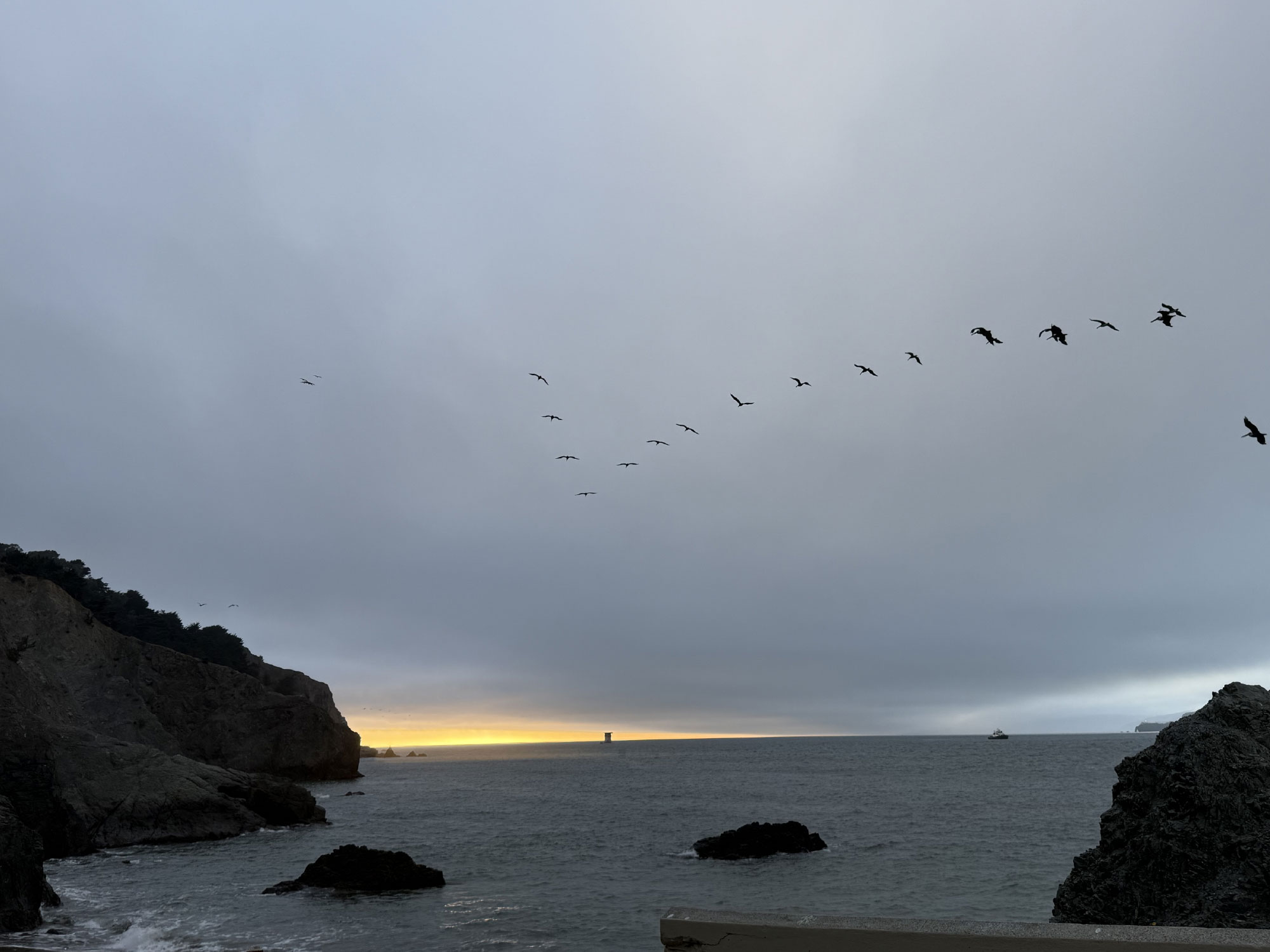 طيور تحلق على (China Beach)