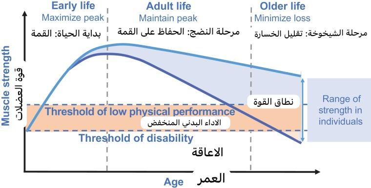 حدد مصيرك بين الخط الأزرق الفاتح والخط الأزرق الداكن.