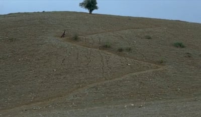 لن تجد اسمي في المشهد الثقافي الأردني 📚