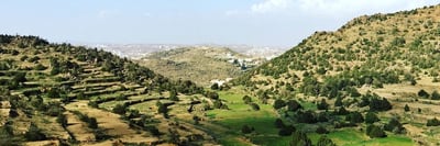 الرياض التي أحب ❤️