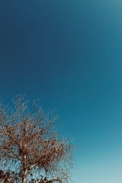 لا معلّم كالرحيل