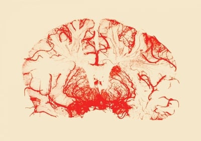 الأمراض العصبية واختراق الذات في الأدب