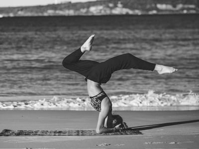 هل يضر البقرة لو أخذنا منها حليب؟