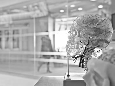 “ليش الإنسان يحس نفسه محور الكون؟”