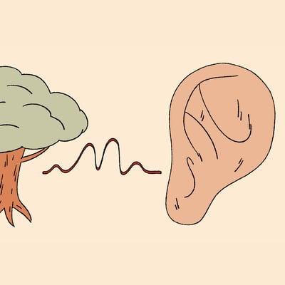 عدد خاص: كتب أعادت اتصالي بالطبيعة 🌲