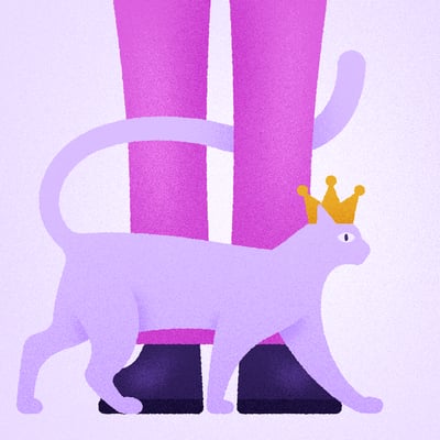 كيف تعلمتُ من القطط رفع استحقاقي الذاتي