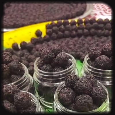 الدخون الدوسري أكثر من عطر