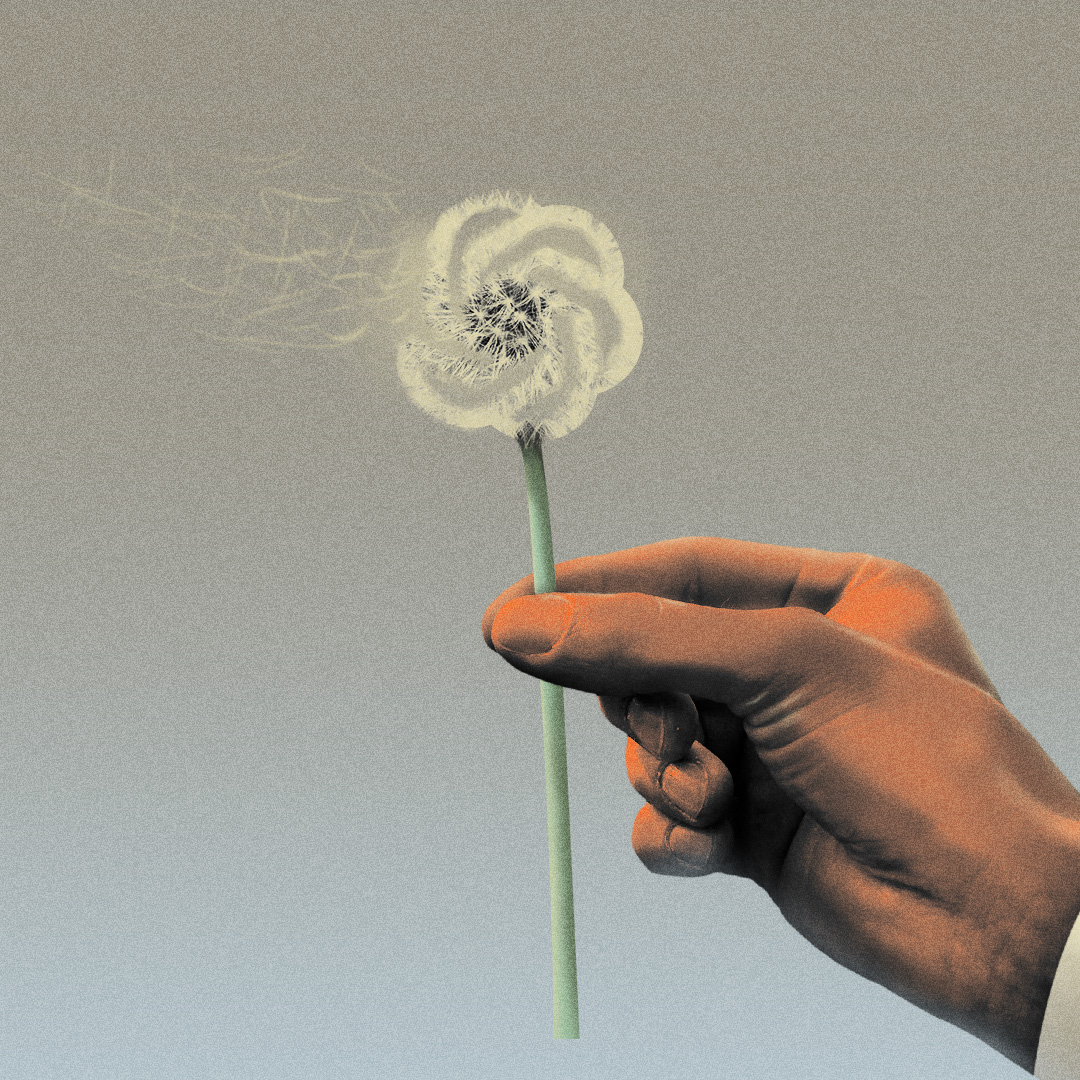 ها هي هبّة الذكاء الاصطناعي تتلاشى