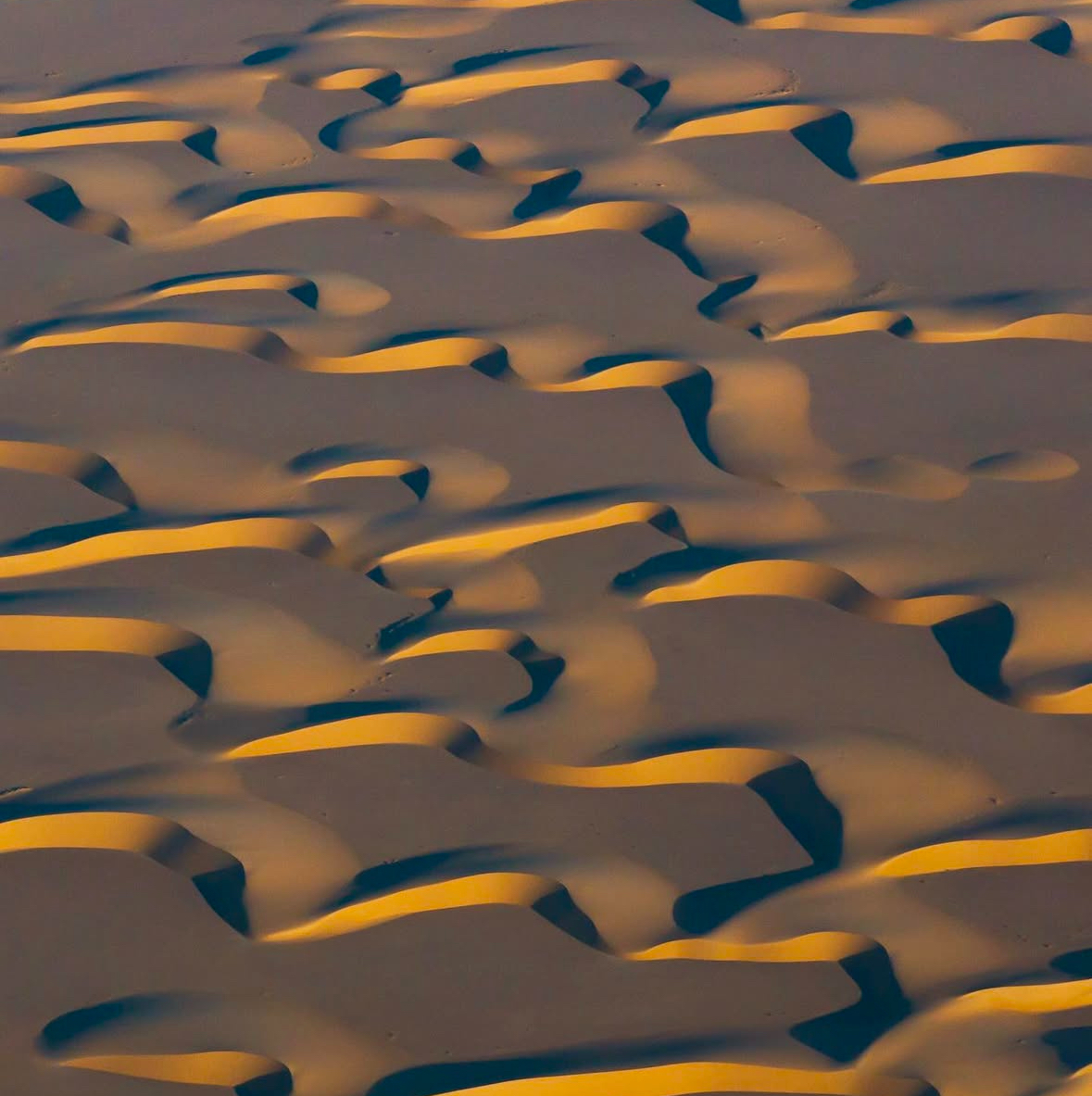 كيف تأخذ إجازة، فعلًا؟