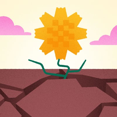 ما الذي تقوله لنا زهرة العرفج؟ 🌼