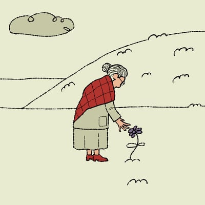 حجلة الأرض البور 🪶