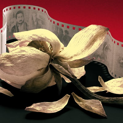 هل تستحق السينما المصرية اتهامها بالتراجع؟