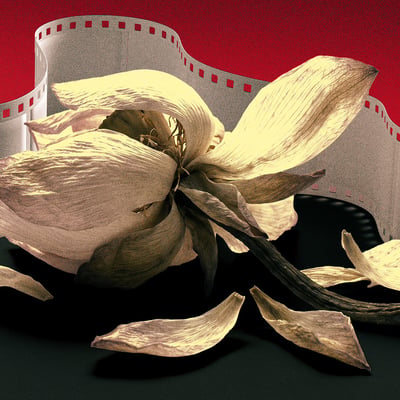 هل تستحق السينما المصرية اتهامها بالتراجع؟