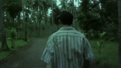 Giphy /  فِلم «Days of Being Wild» 