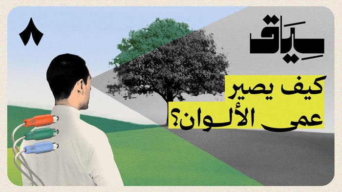 هل يفهم الببغاء لغة البشر