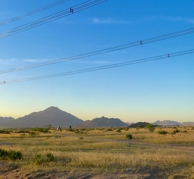 ركوب الخيل لا يُعلّمك الفروسيّة فقط!