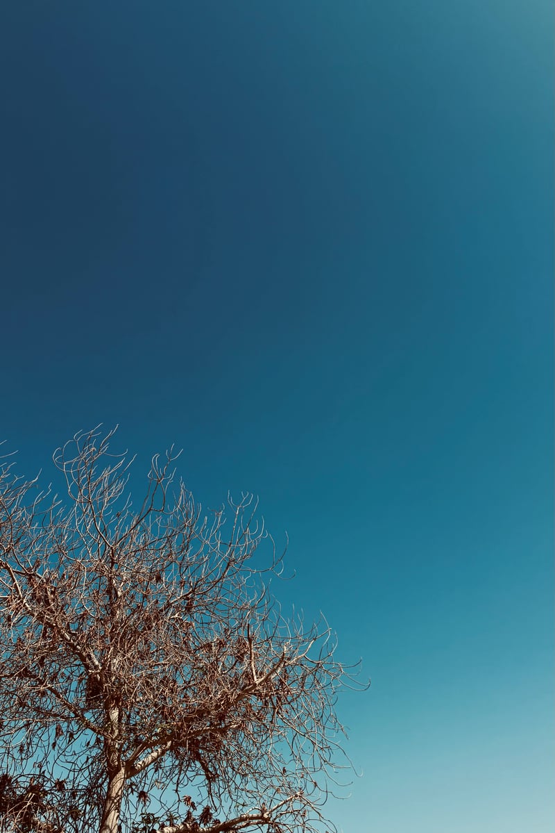 لا معلّم كالرحيل