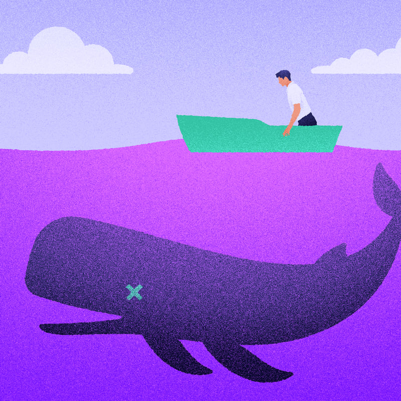كيف علمتني الحيتان قبول النهايات 🐋
